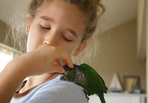 abigail and guaco