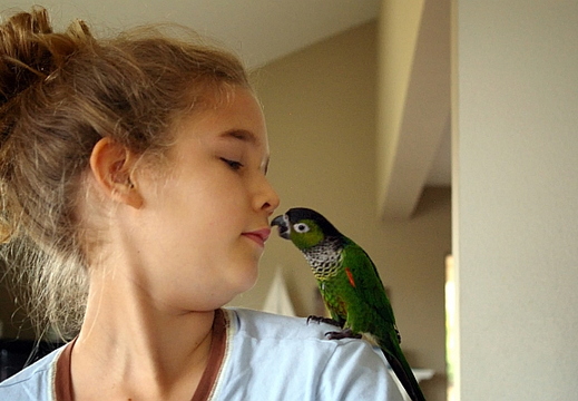 abigail and guaco