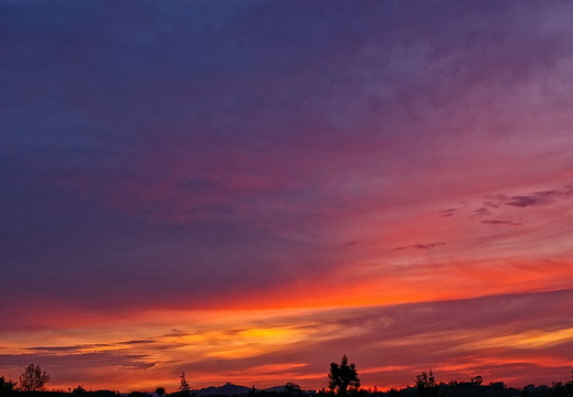 back yard sunset
