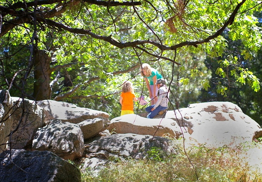 crestline