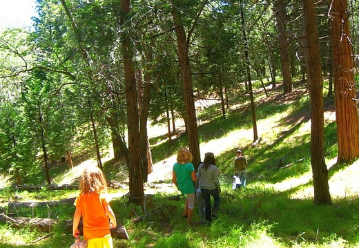 crestline