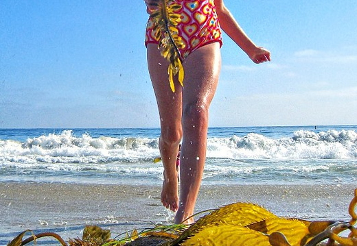 4th of july laguna beach jacobs