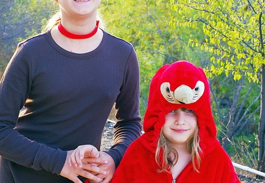 costumes