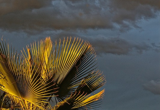 sunset sky