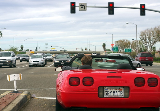 IMGP2618GRS