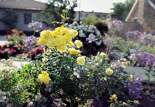 IMGP0734 stitchGRS