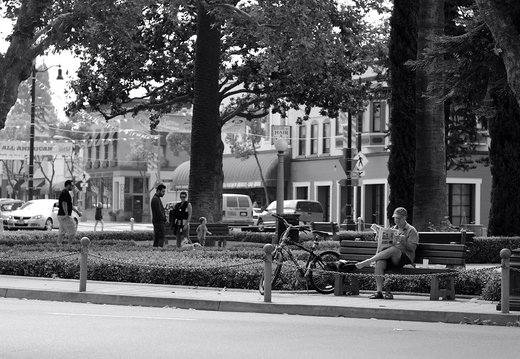 IMGP2448GRS