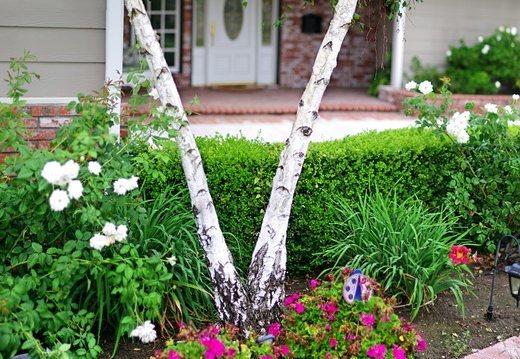 IMGP8827 stitchGRS