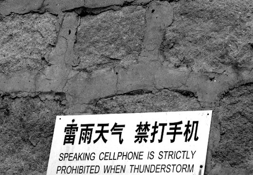 IMGP8146GRS