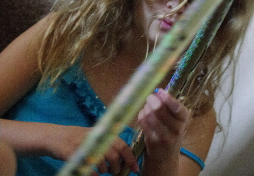 IMGP0674G