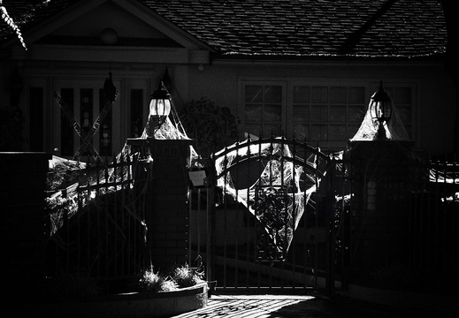IMGP1429GRS