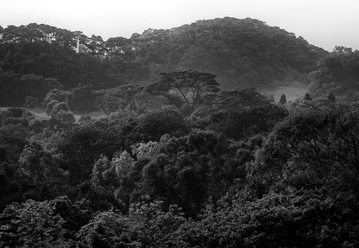 IMGP2192GRS2