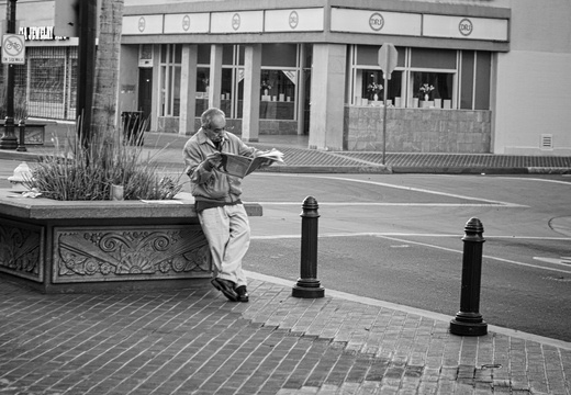IMGP3035RGRS