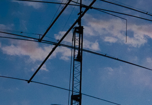 IMGP5638RGRS