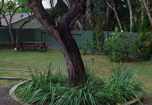 IMGP7184 stitchGRS