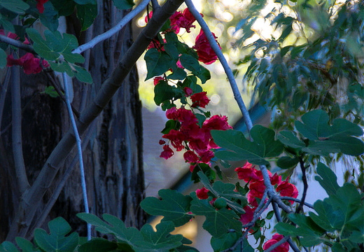 IMGP1344-1348RGRS