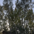 IMGP4778-4782RGRS