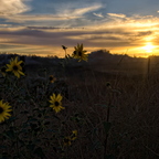IMGP6613-6615RGRS
