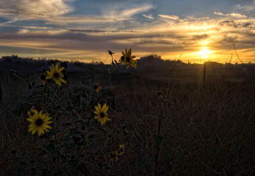 IMGP6613-6615RGRS