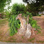 IMGP9210 stitch2GRS
