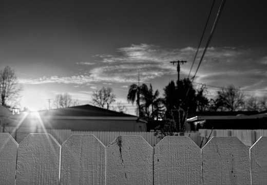 IMGP9018rgrs