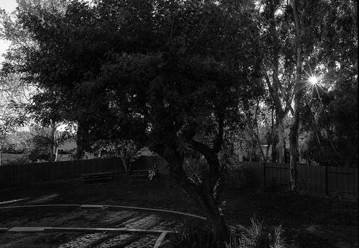 IMGP9985 stitch2grs