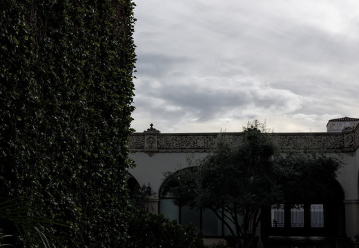 IMGP7538rgrs