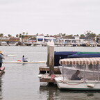 IMGP2022rgrs