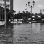 IMGP2189rgrs