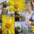 IMGP2802-collage
