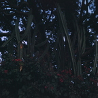 20160701 202834 Pano-grs