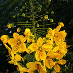 20160721 195856grs