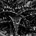 20160723 120413grs