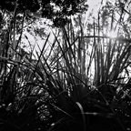 IMGP4247-3