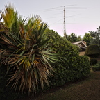 IMGP4344-2