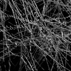 IMGP6221-1