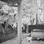 IMGP1185rgrs