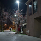 IMGP1667