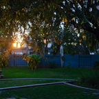 IMGP1940