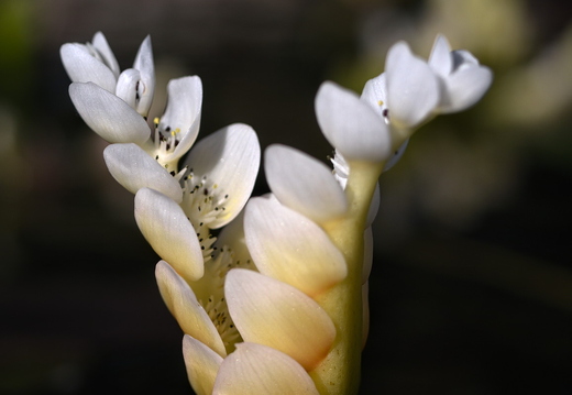 IMGP0235