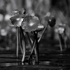 IMGP0023-2