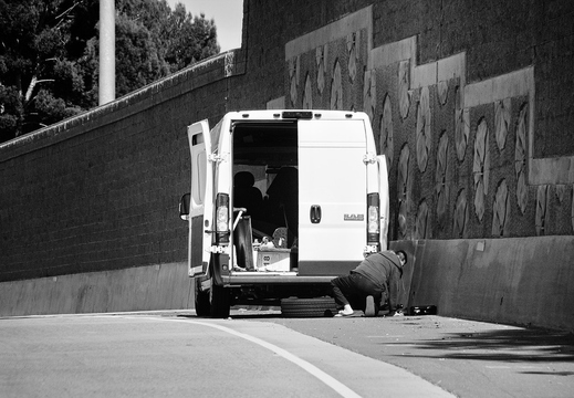 IMGP0495rgrs