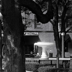 IMGP0464-2rgrs2