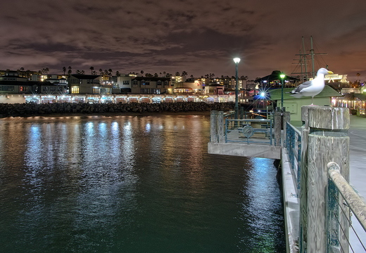 IMGP3122rgrs