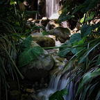 IMGP3484rgrs