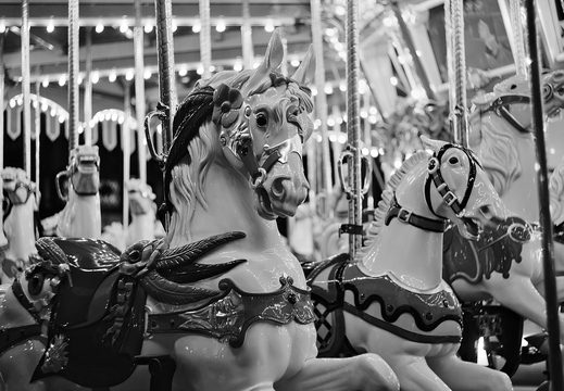 IMGP4790-1rgrs