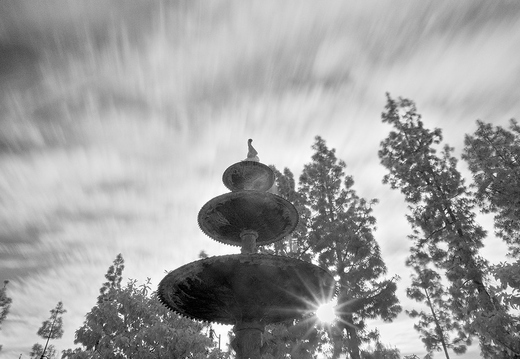 IMGP5015rgrs