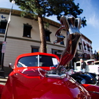 IMGP6031rgrs