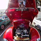 IMGP6040rgrs
