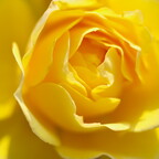 IMGP6247-1